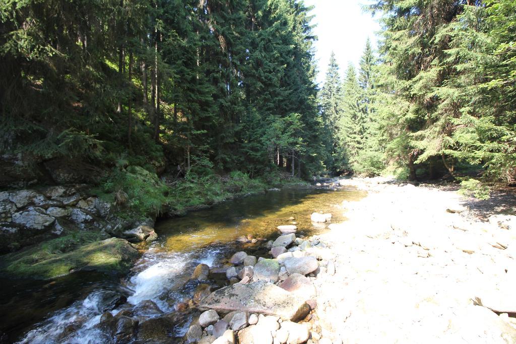 Chalet Schaefer ハルラホフ エクステリア 写真